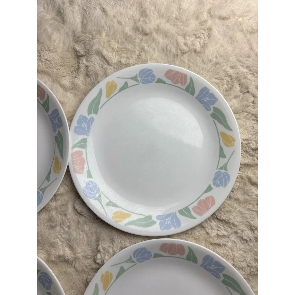 Corelle‎ Friendship Dinner Plates 10.25